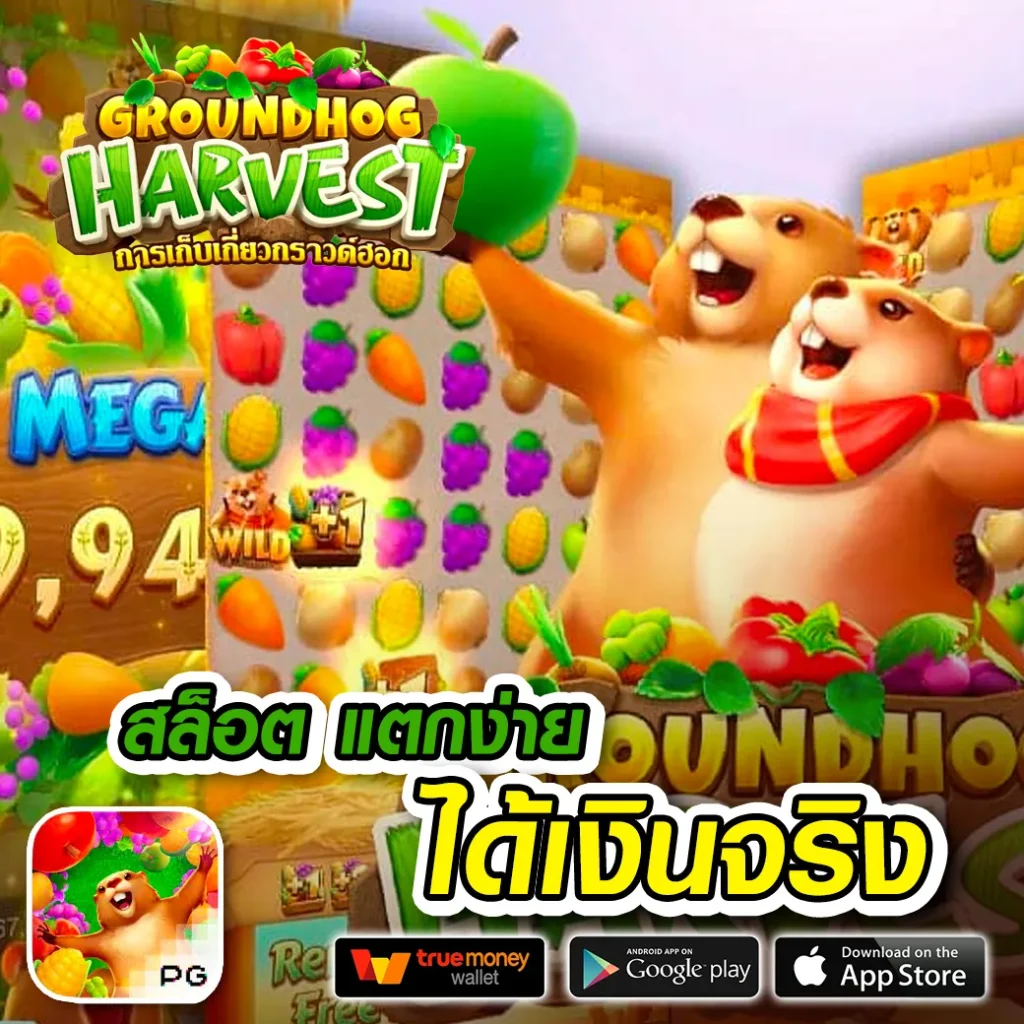 auto-888 รางวัลใหญ่